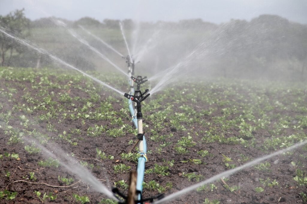 borehole irrigation system gutu
